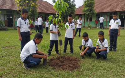 Panduan Lengkap Sekolah Adiwiyata: Menjadi Agen Perubahan dari Lingkungan Sekolah